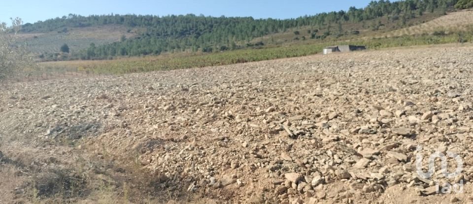 Terreno Agrícola em Freixo de Espada à Cinta e Mazouco de 36 418 m²