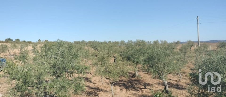 Terreno Agrícola em Freixo de Espada à Cinta e Mazouco de 36 418 m²