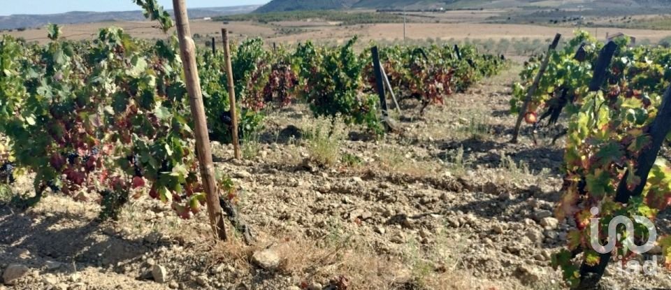 Terreno Agrícola em Freixo de Espada à Cinta e Mazouco de 36 418 m²