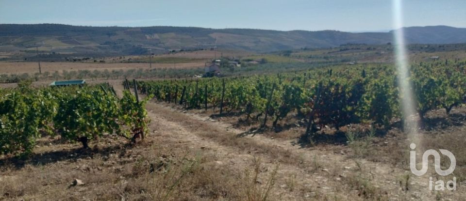 Terreno Agrícola em Freixo de Espada à Cinta e Mazouco de 36 418 m²