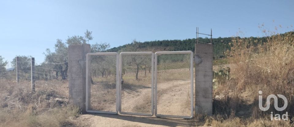 Terreno Agrícola em Freixo de Espada à Cinta e Mazouco de 36 418 m²