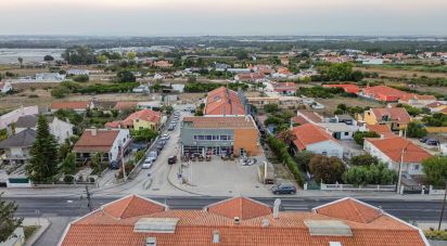 Loja / Estabelecimento Comercial em Quinta do Anjo de 154 m²