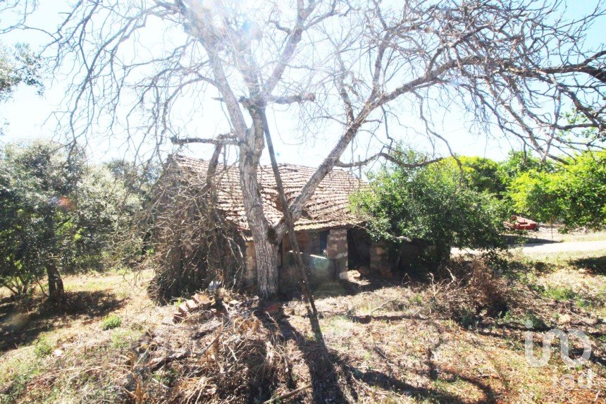 Casa de aldeia T1 em Chãos de 55 m²