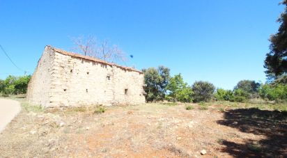 Village house T1 in Chãos of 55 m²