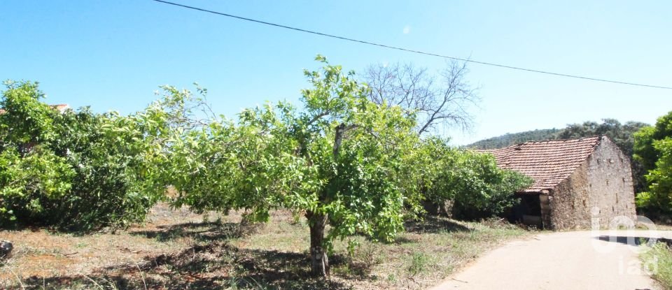 Casa de aldeia T1 em Chãos de 55 m²