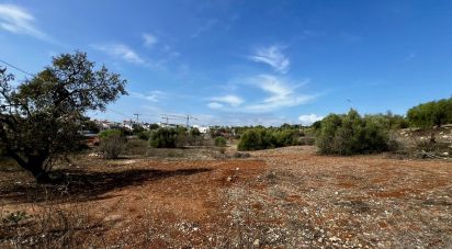 Terreno para construção em Tavira (Santa Maria e Santiago) de 6 000 m²