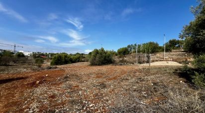 Terreno para construção em Tavira (Santa Maria e Santiago) de 6 000 m²