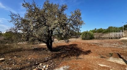 Terreno para construção em Tavira (Santa Maria e Santiago) de 6 000 m²