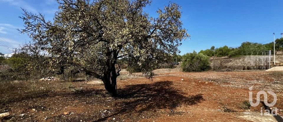 Terreno para construção em Tavira (Santa Maria e Santiago) de 6 000 m²