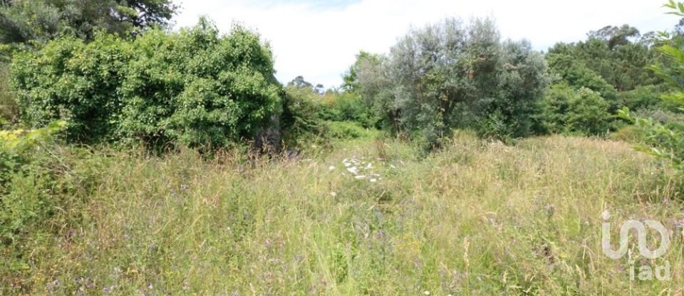 Terrain à Bárrio e Cepões de 1 400 m²