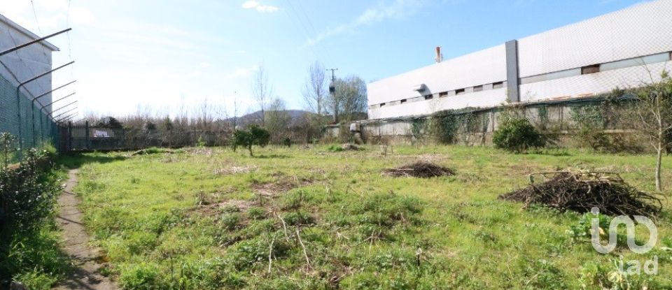 Terrain à bâtir à Real, Dume E Semelhe de 1 378 m²