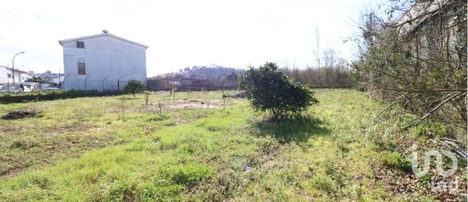 Building land in Real, Dume E Semelhe of 1,378 m²