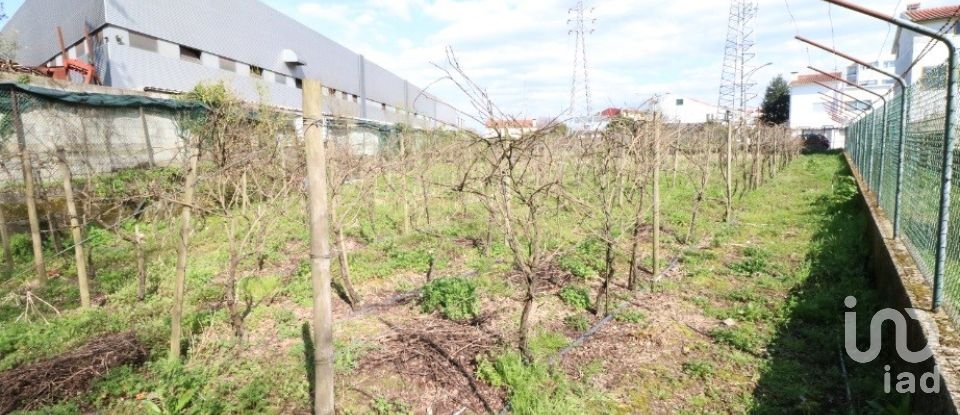 Terrain à bâtir à Real, Dume E Semelhe de 1 378 m²