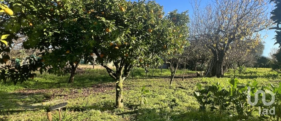 Casa tradicional T2 em Ferreira do Zêzere de 170 m²