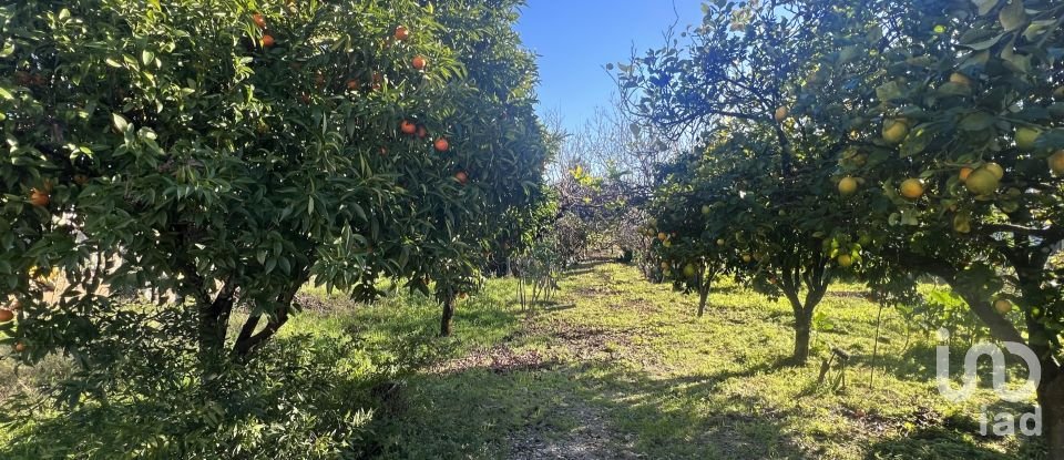 Casa tradicional T2 em Ferreira do Zêzere de 170 m²