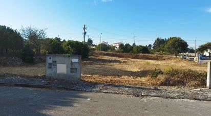 Building land in Reguengo Grande of 597 m²