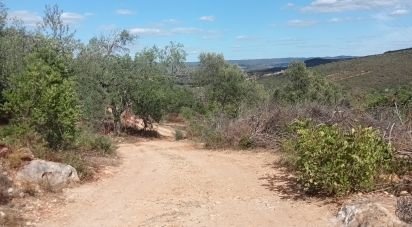 Building land in Loulé (São Sebastião) of 10,480 m²