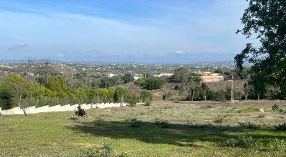 Terreno em Albufeira e Olhos de Água de 4 500 m²