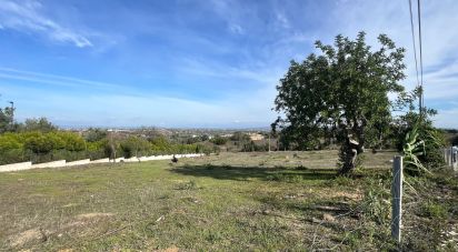 Terrain à Albufeira e Olhos de Água de 4 500 m²