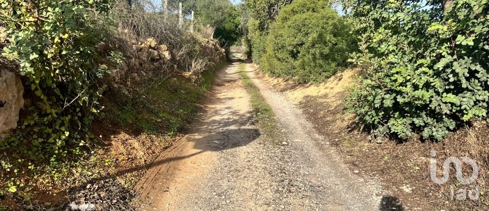 Terrain à Albufeira e Olhos de Água de 4 500 m²