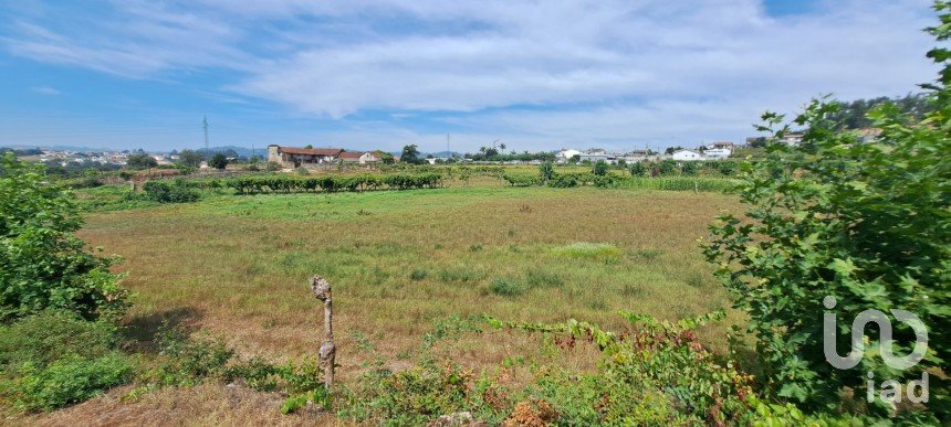 Terreno para construção em Cristelos, Boim e Ordem de 11 327 m²