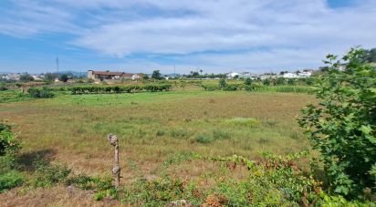 Terreno para construção em Cristelos, Boim e Ordem de 11 327 m²