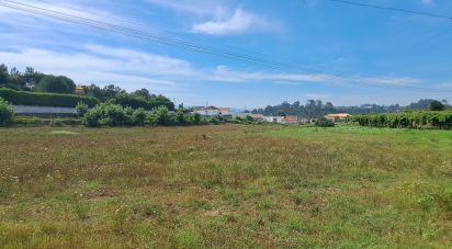 Terreno para construção em Cristelos, Boim e Ordem de 11 327 m²