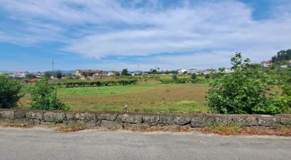 Building land in Cristelos, Boim e Ordem of 11,327 m²