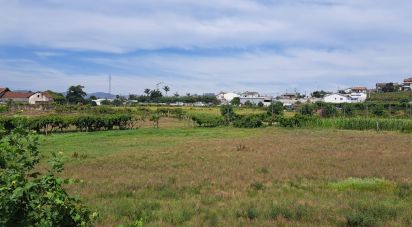 Terreno para construção em Cristelos, Boim e Ordem de 11 327 m²