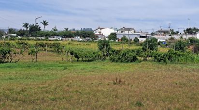 Terreno para construção em Cristelos, Boim e Ordem de 11 327 m²