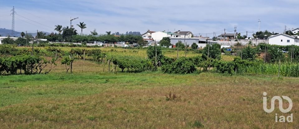 Terreno para construção em Cristelos, Boim e Ordem de 11 327 m²