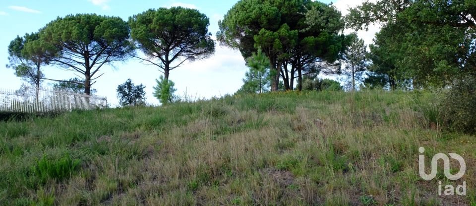 Building land in Gualtar of 314 m²