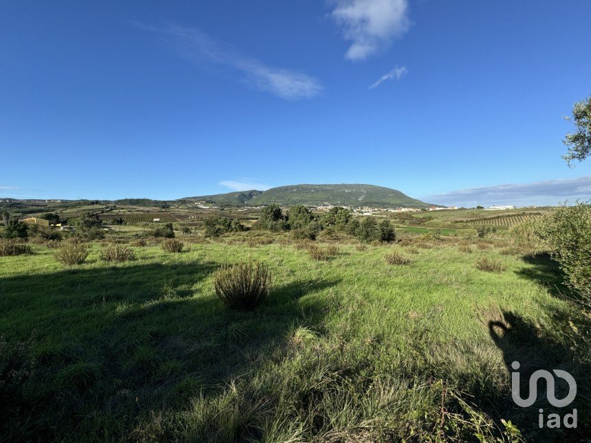 Terreno Agrícola em Ventosa de 7 440 m²