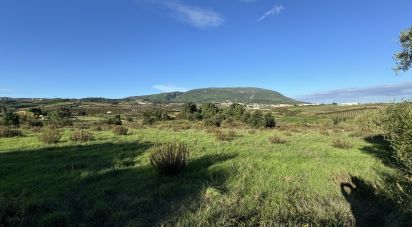 Agricultural land in Ventosa of 7,440 m²