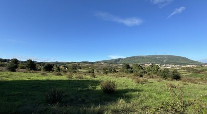 Terreno Agrícola em Ventosa de 7 440 m²