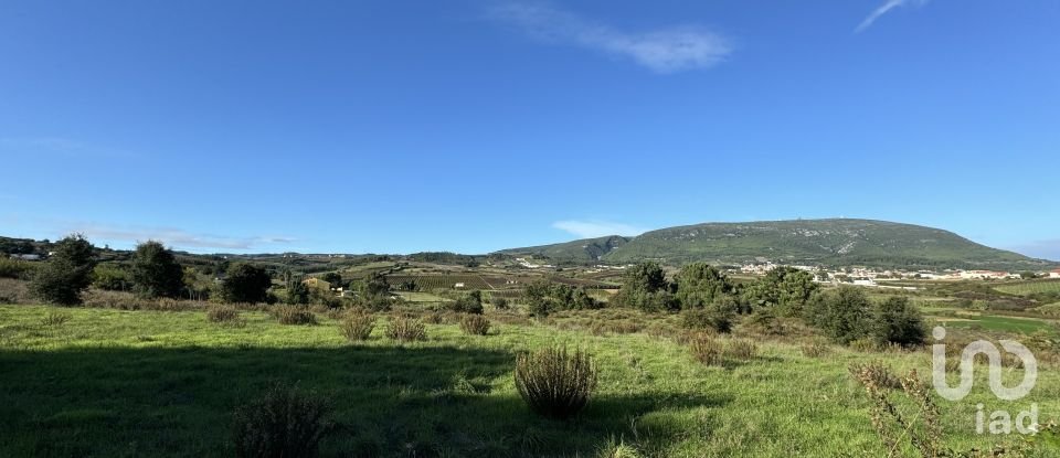 Terreno Agrícola em Ventosa de 7 440 m²