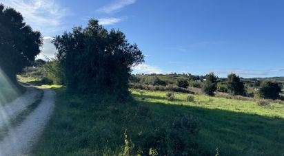 Terreno Agrícola em Ventosa de 7 440 m²