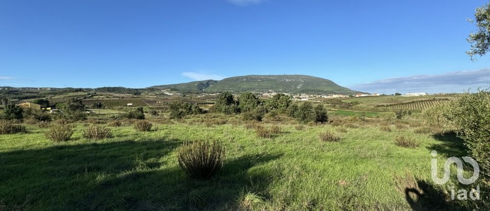 Terreno Agrícola em Ventosa de 7 440 m²