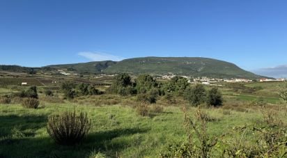 Agricultural land in Ventosa of 7,440 m²