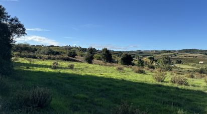 Terreno Agrícola em Ventosa de 7 440 m²