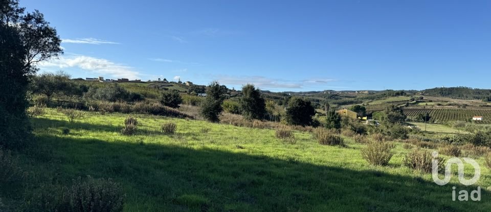 Terreno Agrícola em Ventosa de 7 440 m²