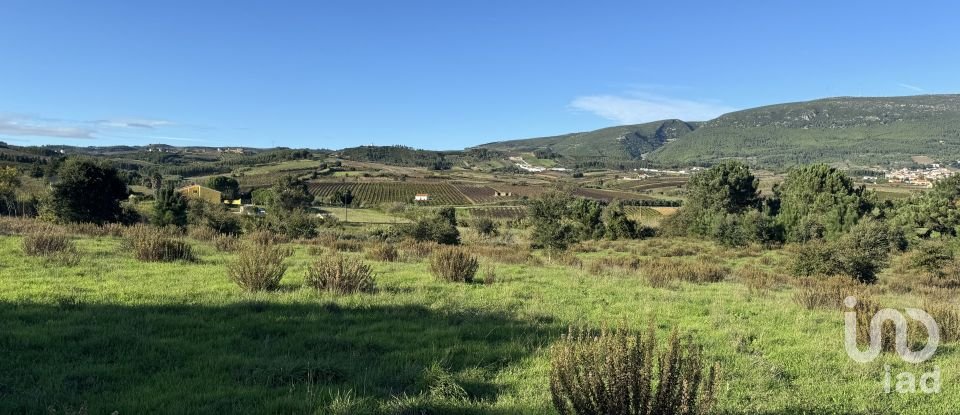 Terreno Agrícola em Ventosa de 7 440 m²