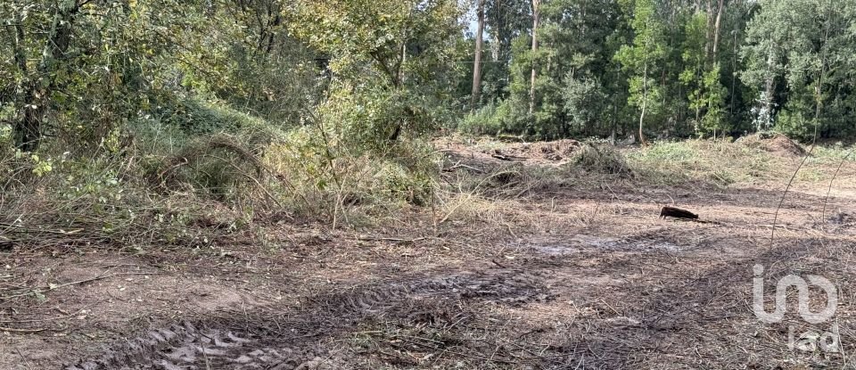 Terreno para construção em Parada de Todeia de 7 480 m²