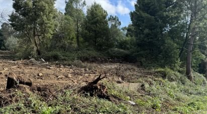 Building land in Parada de Todeia of 7,480 m²