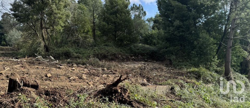 Terreno para construção em Parada de Todeia de 7 480 m²