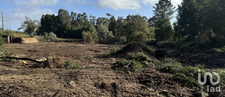 Terreno para construção em Parada de Todeia de 7 480 m²