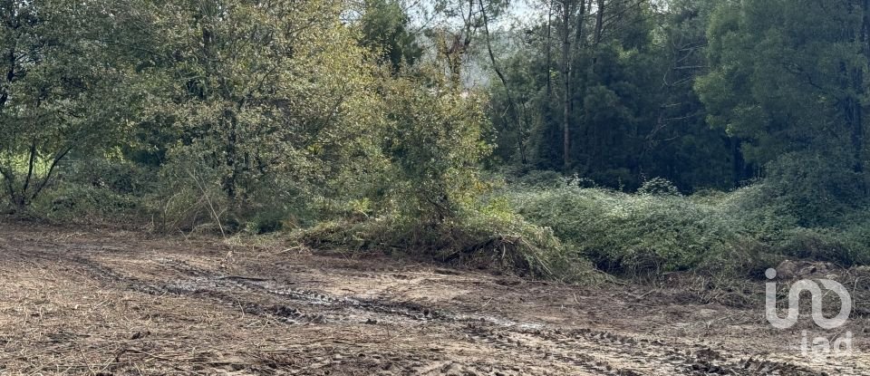 Terreno para construção em Parada de Todeia de 7 480 m²