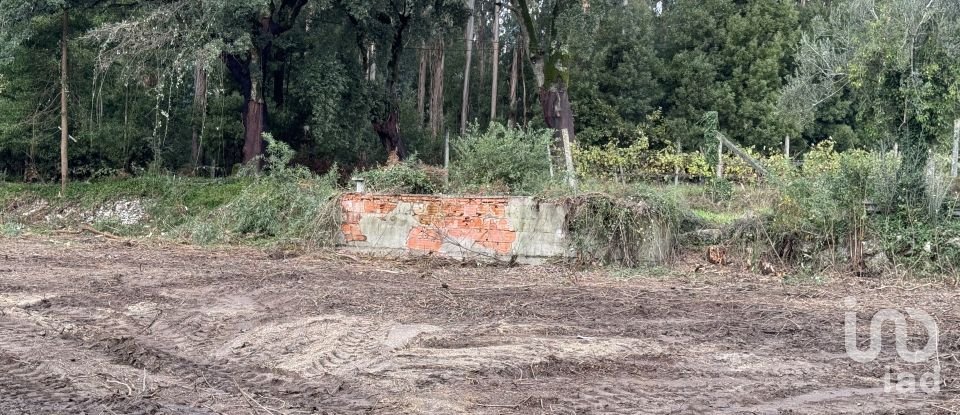 Terreno para construção em Parada de Todeia de 7 480 m²