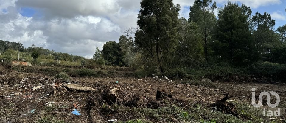 Terreno para construção em Parada de Todeia de 7 480 m²