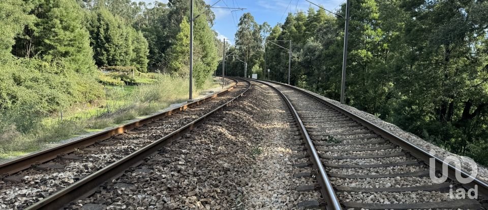 Terreno para construção em Parada de Todeia de 7 480 m²